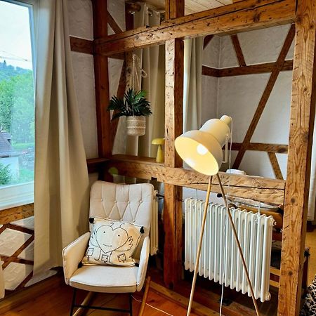 Leopold'S Apartments Mit Garten Und Vesteblick Mitten In 科堡 外观 照片
